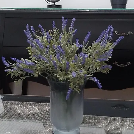 Tiffany Lux&spa Vila * Zlatibor