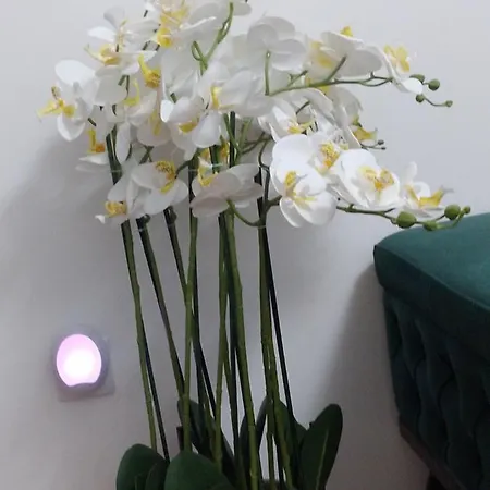 Hotel Tiffany Lux&spa Vila *